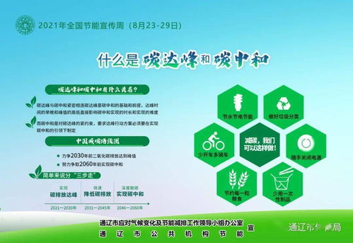 軟件開(kāi)發(fā)賦能節(jié)能降碳 2021年全國(guó)節(jié)能宣傳周綠色技術(shù)實(shí)踐與展望